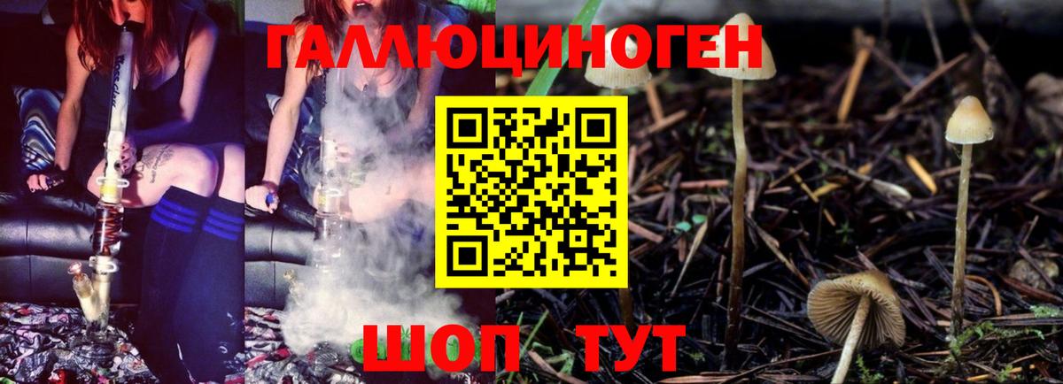 Псилоцибиновые грибы MAGIC MUSHROOMS Бугуруслан